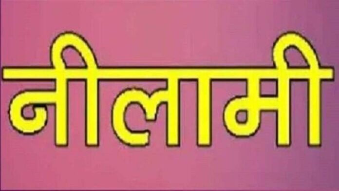 NILAMI