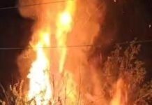 भीलवाड़ा में धूमधाम से मनाया होलिका दहन का त्यौहार, कही जलाई कंडो की होली, श्मशान में खेली राख से होली