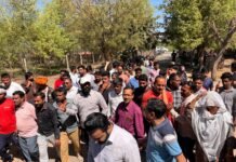 मांडल ग्राम पंचायत में फर्जी पट्टों का आरोप, जांच के आदेश