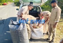 भीलवाडा डीएसटी एवं गंगापुर पुलिस की बड़ी कार्यवाही, 40 किलो 980 ग्राम अफीम डोडा चुरा व अल्टो कार जब्त, एक आरोपी गिरफतार