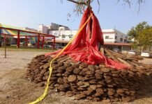 11 हजार गोबर कंडों से सजेगी वैदिक होलिका, पर्यावरण संदेश के साथ आज होगा दहन