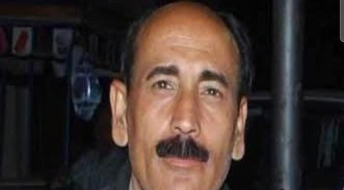 – – -होलिकोत्सव पर विशेष – – – बुरा ना मानो होली है : जिसकी किस्मत असर दिखाये , उल्लू से नेता बन जाये