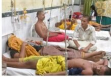 पंडितों पर मधुमक्खियों ने किया हमला 13 घायलों को अस्पताल ले ज़ाया गया