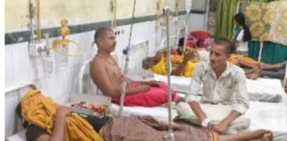 पंडितों पर मधुमक्खियों ने किया हमला 13 घायलों को अस्पताल ले ज़ाया गया