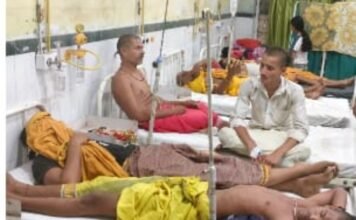 पंडितों पर मधुमक्खियों ने किया हमला 13 घायलों को अस्पताल ले ज़ाया गया